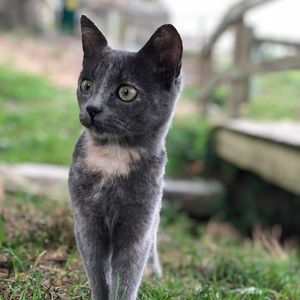 Meet your Posher, Paul